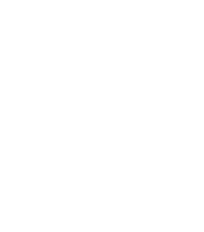 Logo Holding LG Automobiles