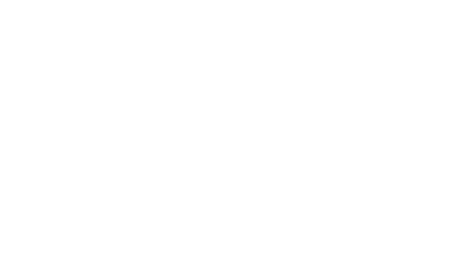 Logo XPENG blanc